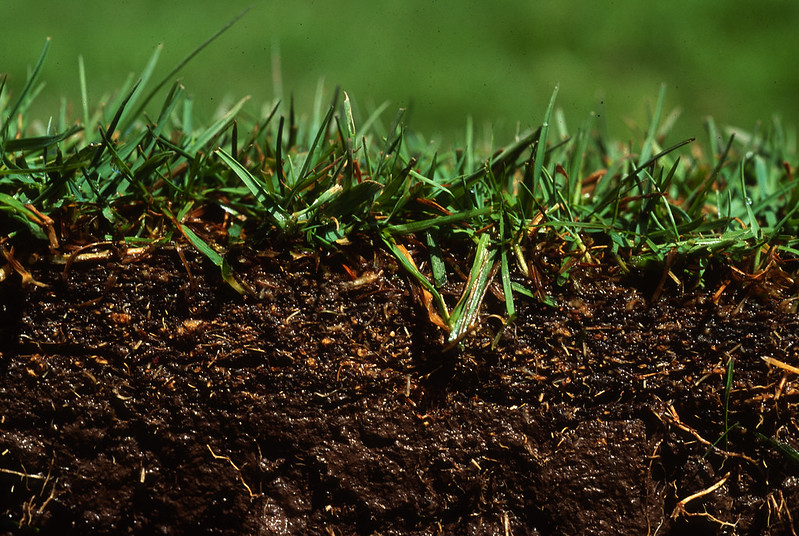 Topsoil vs Compost soil uses