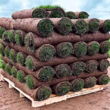 Turfworld_Watering-New-Lawn-and-Grass-Seed_Turfworld-Emerald-Turf-Rolls-Pallet
