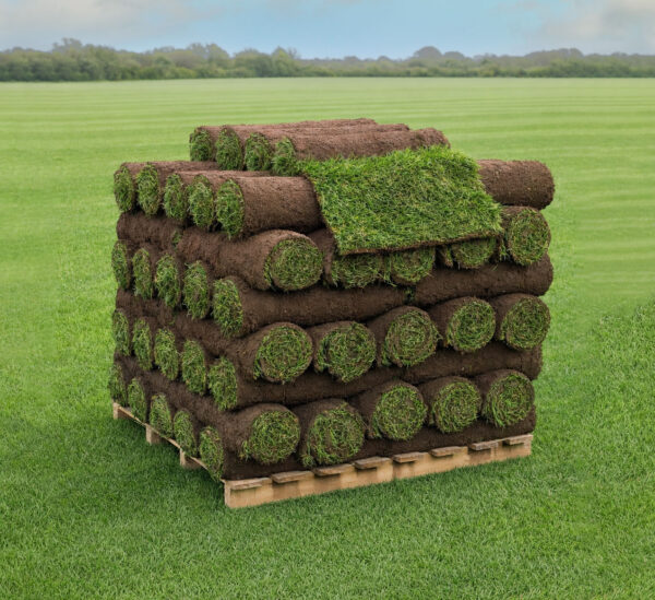 TurfWorld Signature Turf available for delivery to London